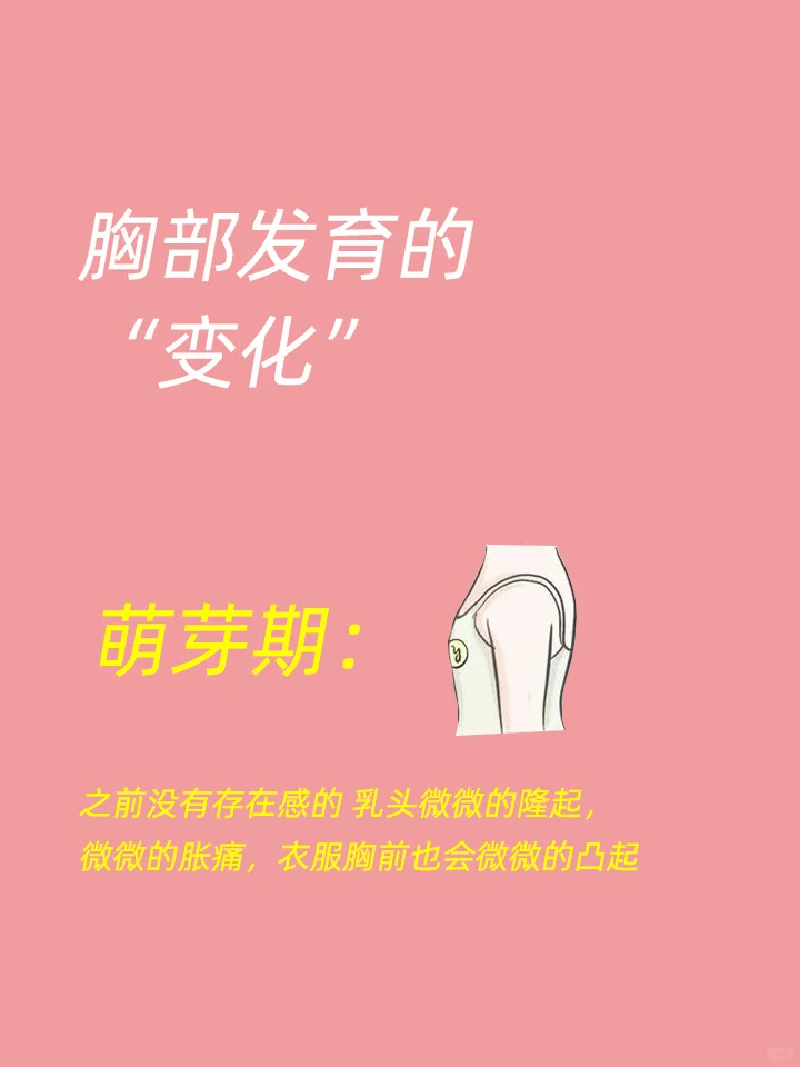 发育期女孩的胸部发育，妈妈们一定要关心哟