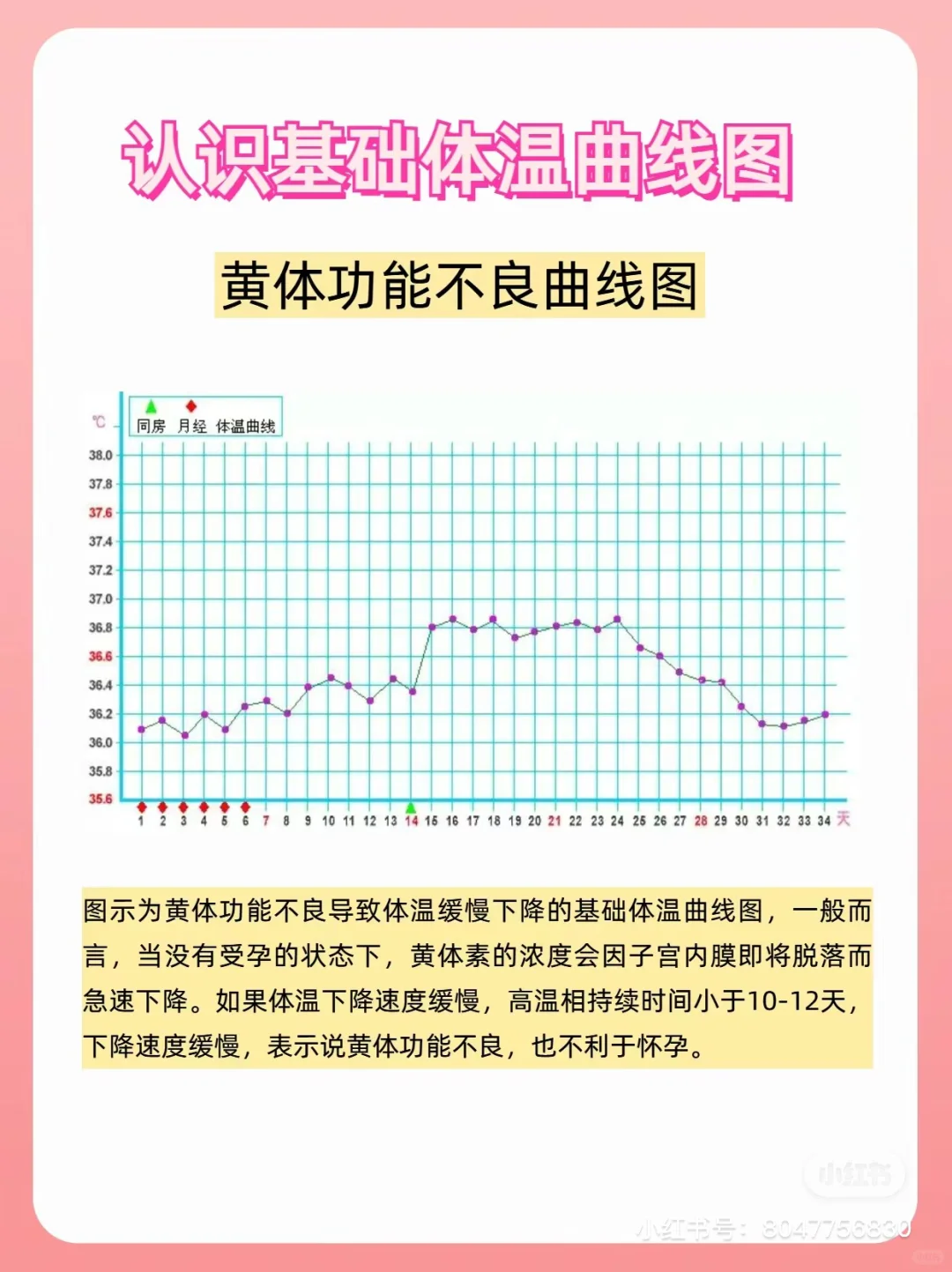 基础体温曲线图