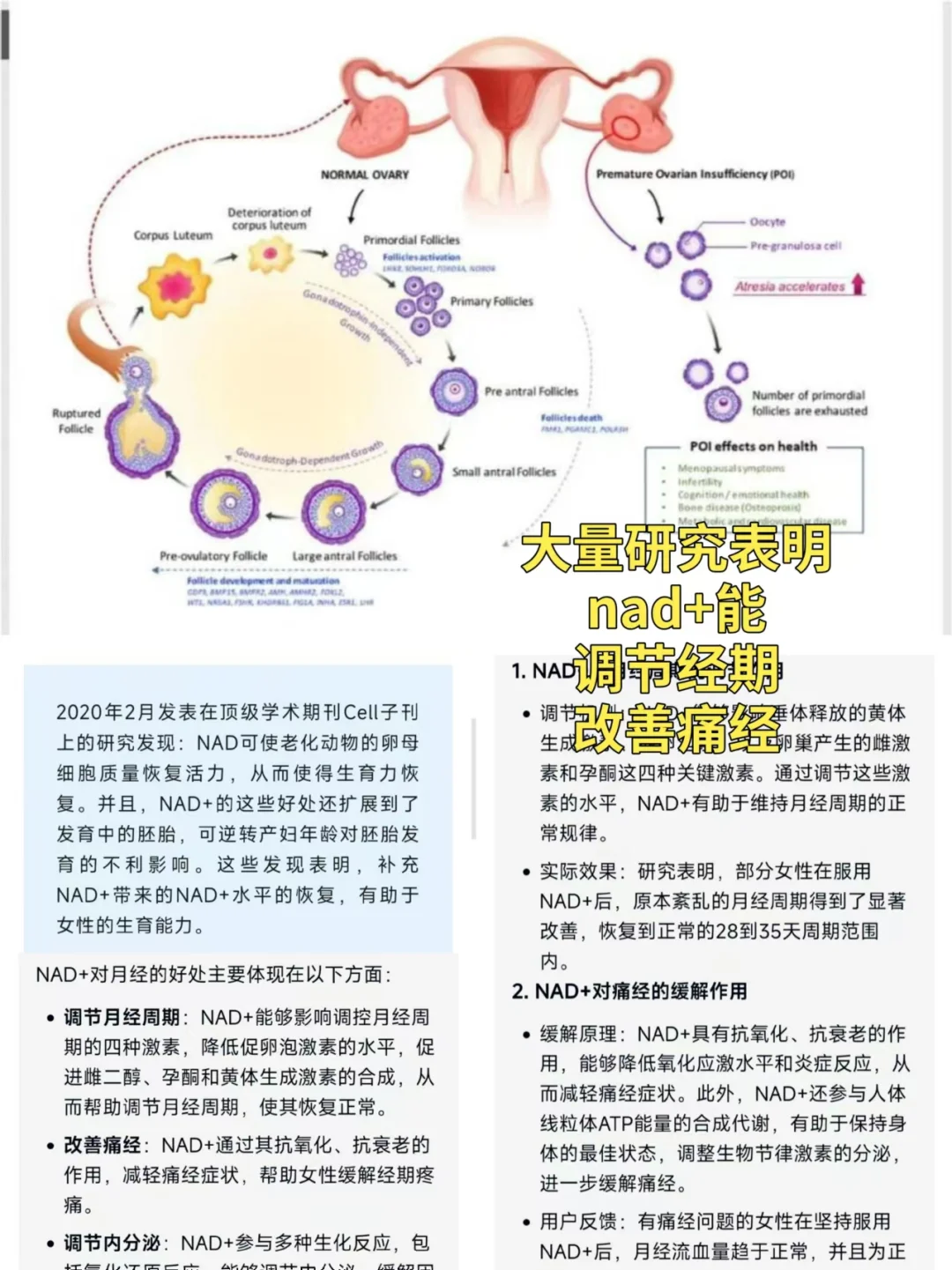 女人长期漂亮，关键是坚持六件事