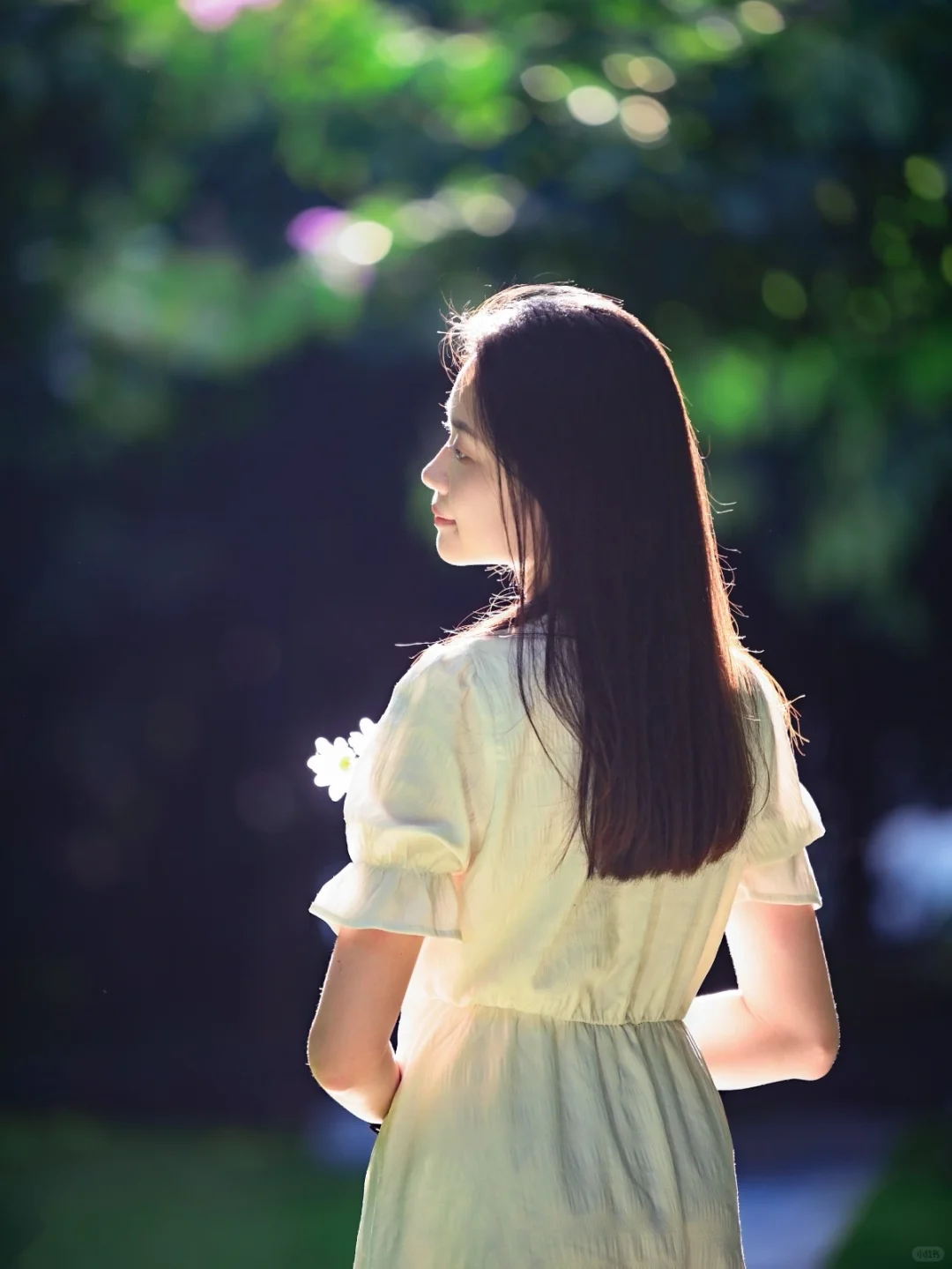 森系氛围感少女写真?小清新拍照姿势参考