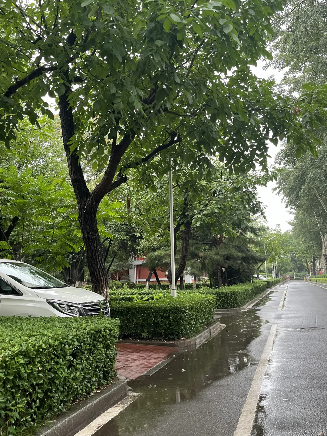 下雨的天气就应该来游泳