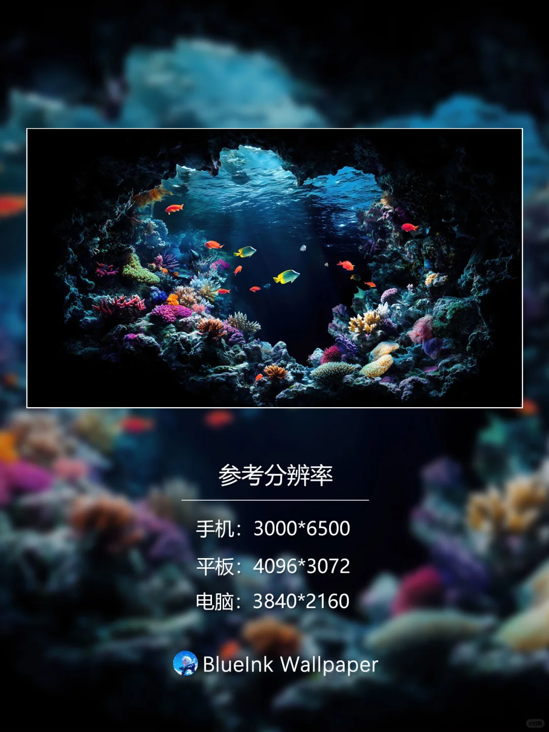 #052 水族馆‖4K高清壁纸