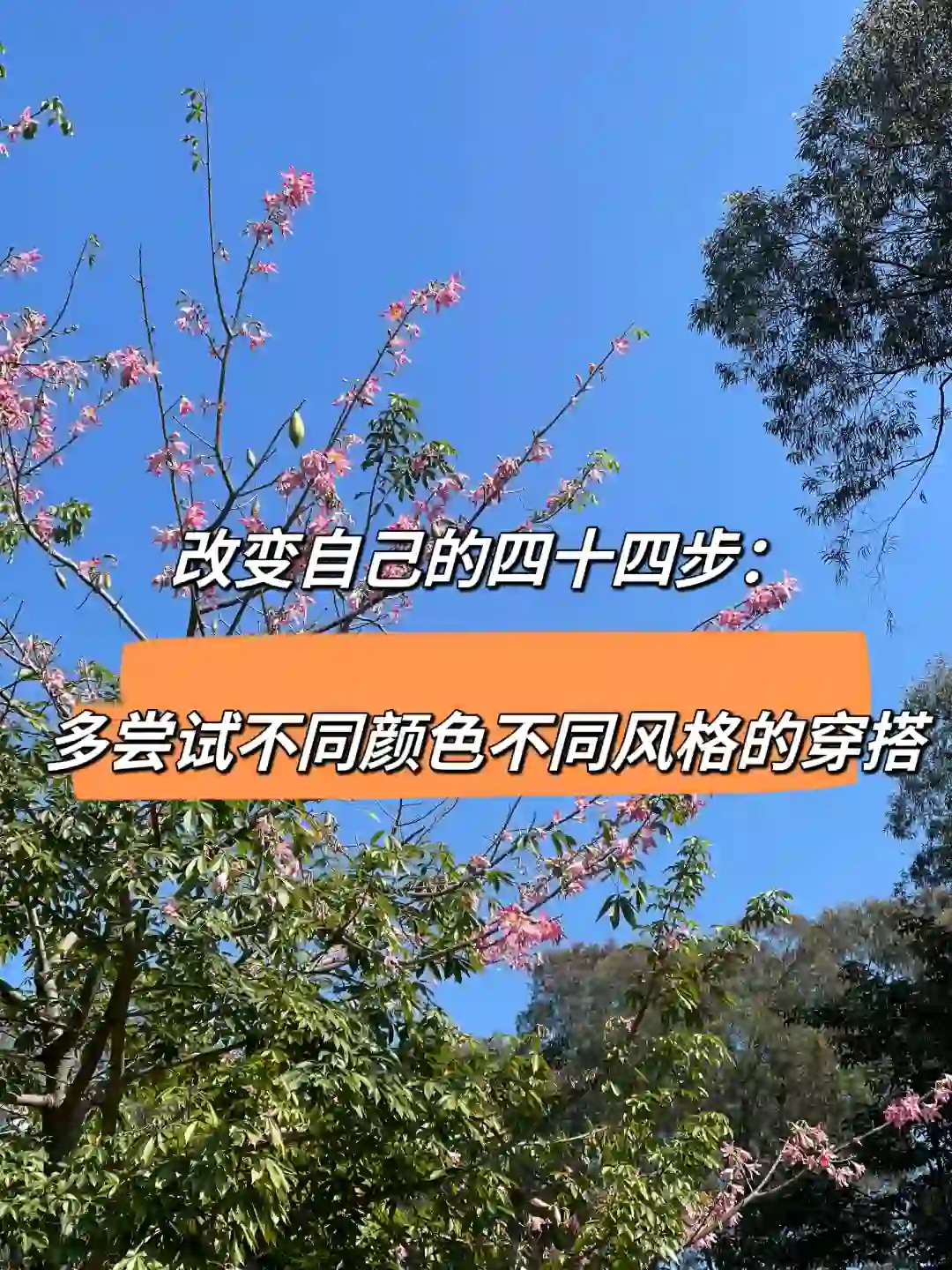 多尝试不同的颜色不同风格的穿搭