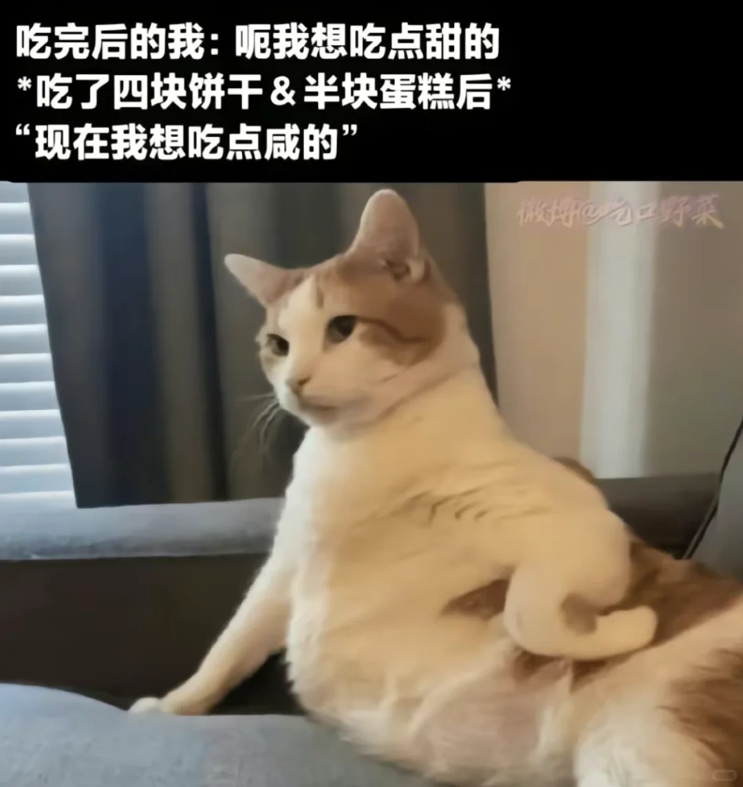 小猫咪！