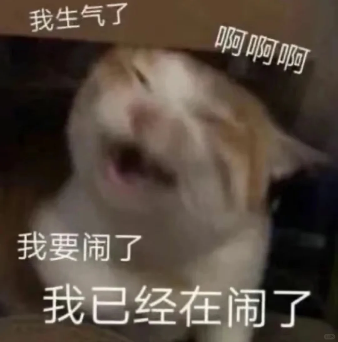 小猫咪！