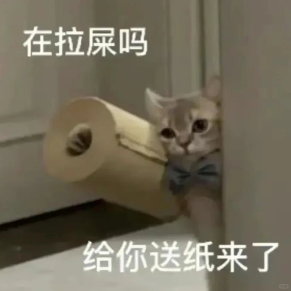 小猫咪！