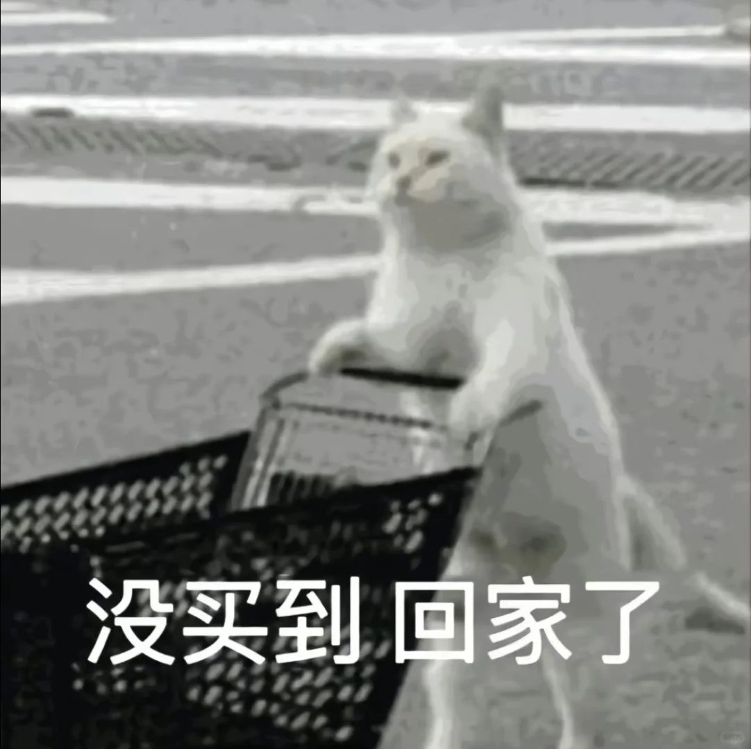 小猫咪！