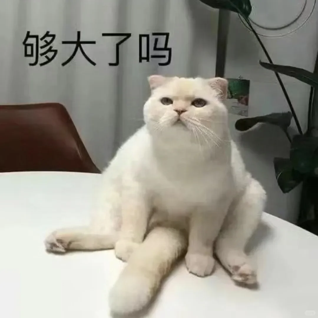 别动！量腰围小猫表情包??