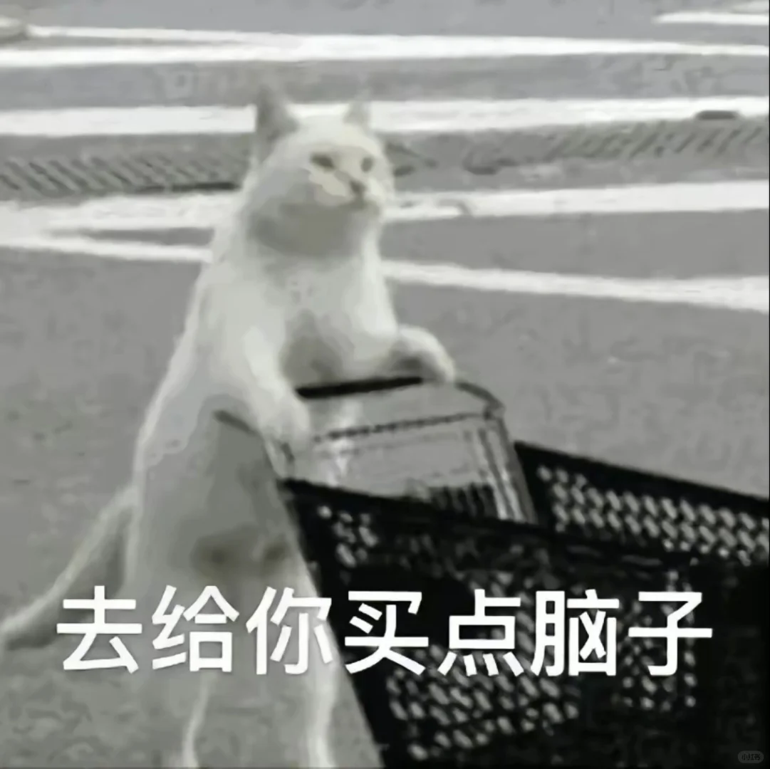 小猫咪！