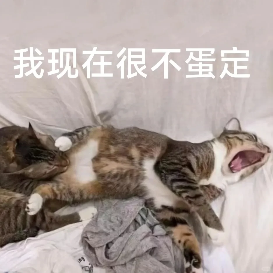 别动！量腰围小猫表情包??