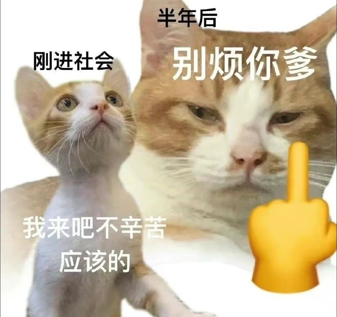 小猫咪！