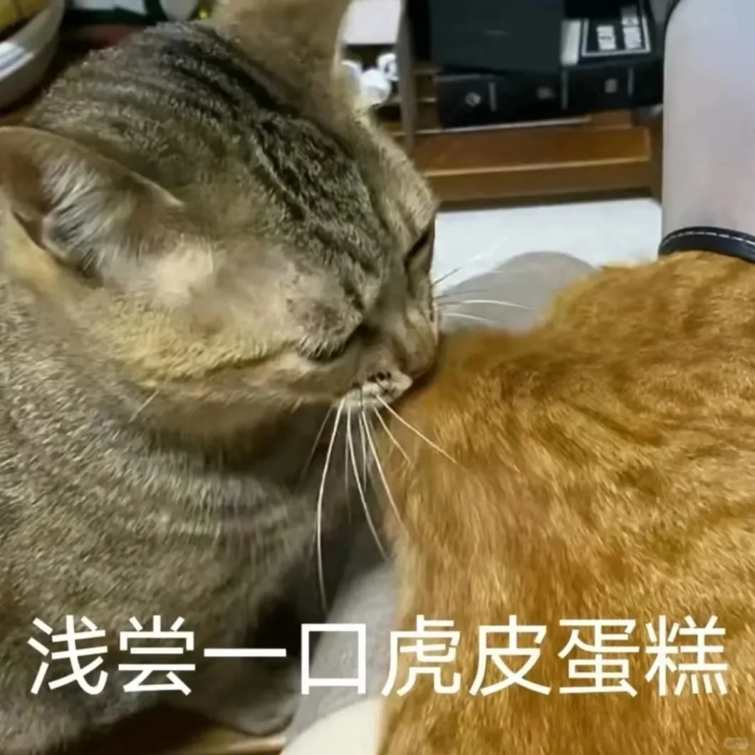 别动！量腰围小猫表情包??