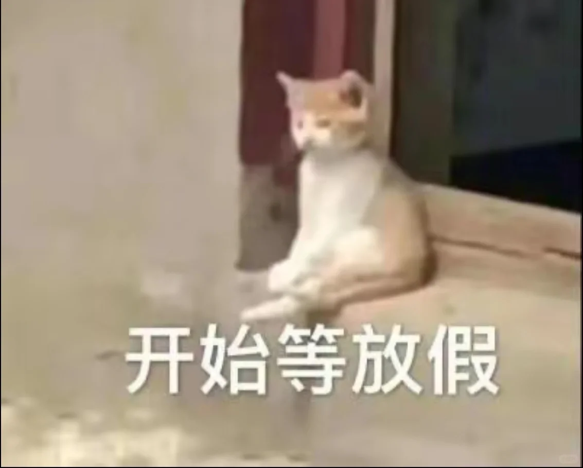 小猫咪！