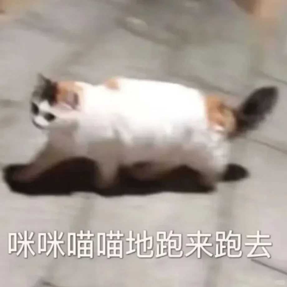 别动！量腰围小猫表情包??