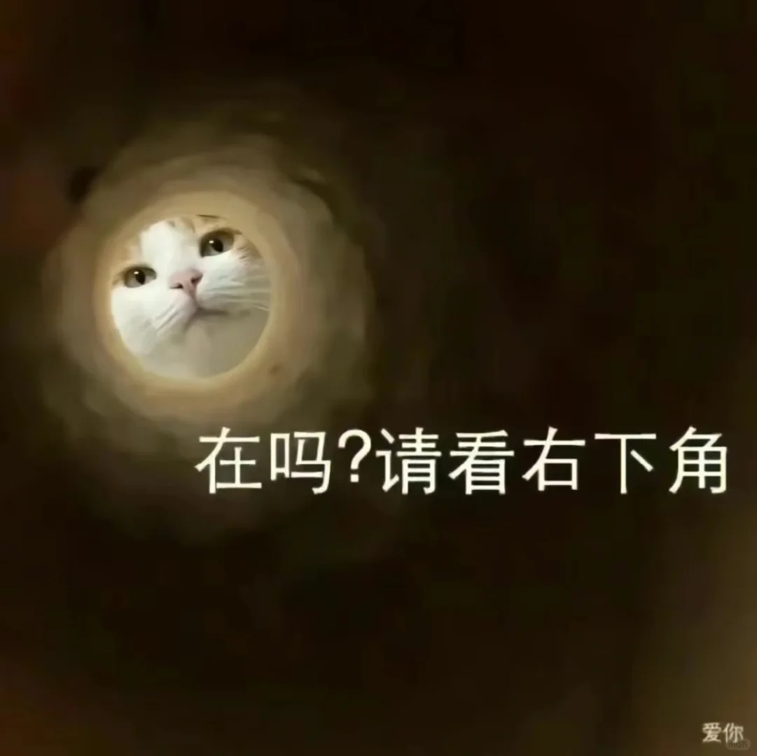 小猫咪！