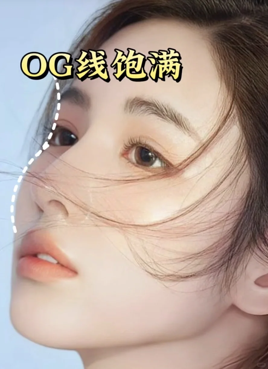 Ogee曲线|拥有高级感审美