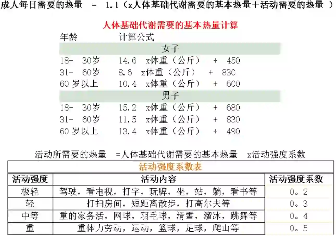 成人每天的热量摄入与消耗