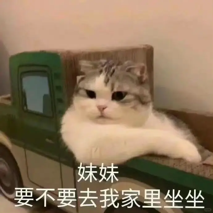 超可爱的猫猫表情包来啦～