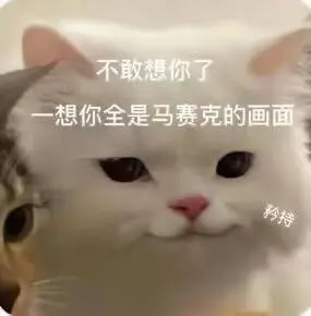 超可爱的猫猫表情包来啦～