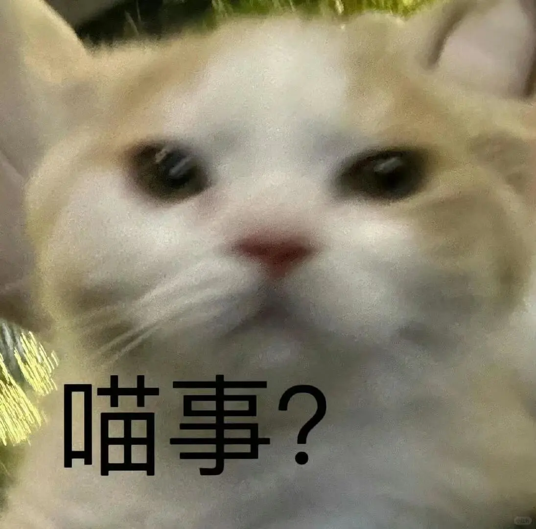 超可爱的猫猫表情包来啦～