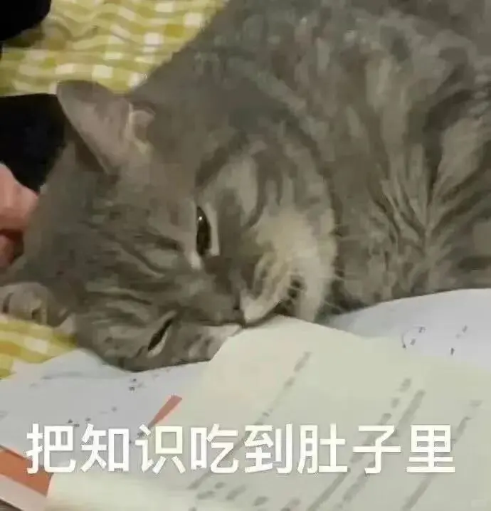 超可爱的猫猫表情包来啦～