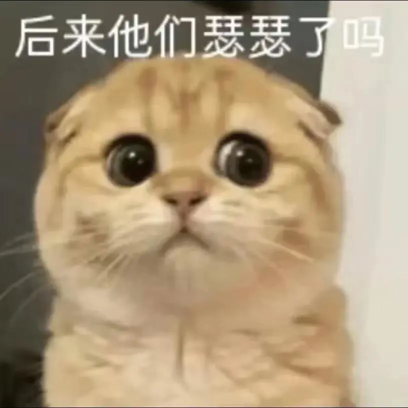 超可爱的猫猫表情包来啦～