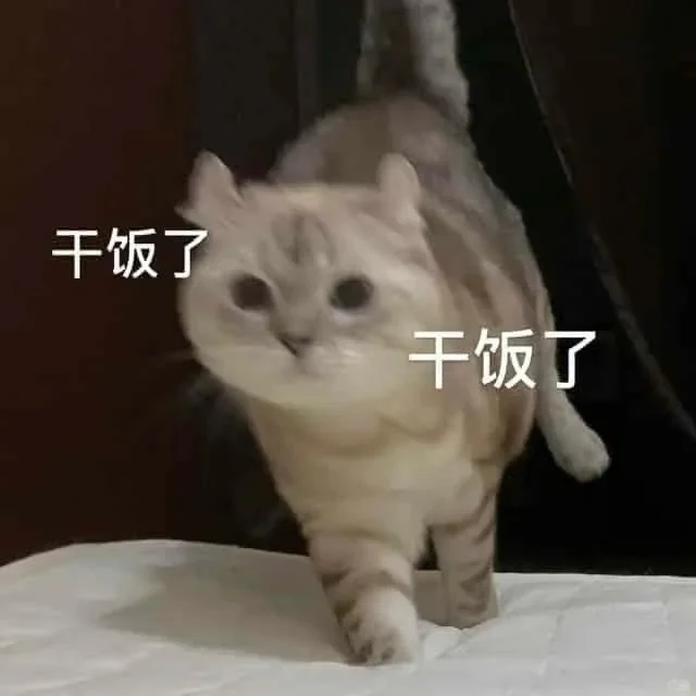 先拨到饭点