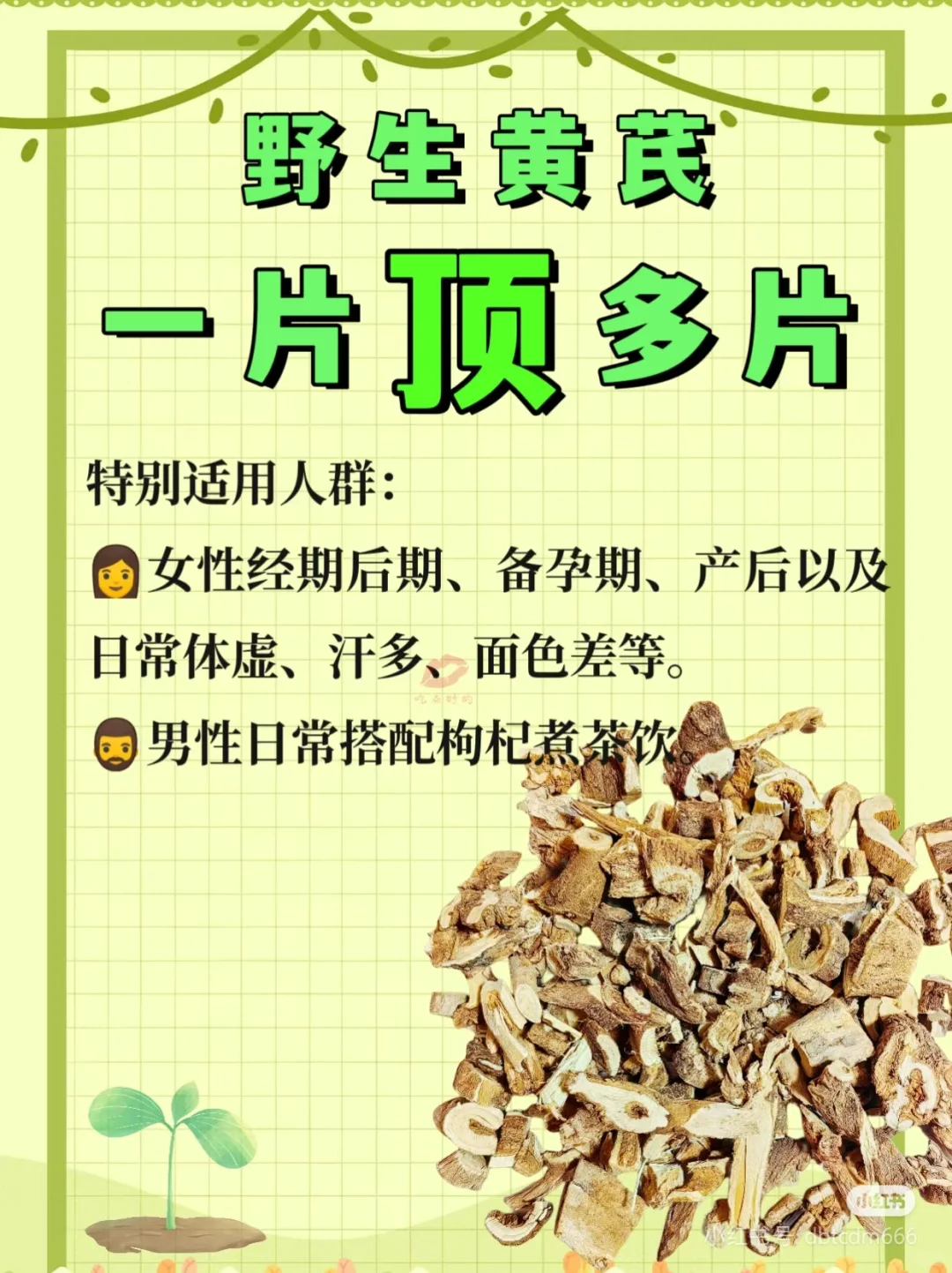 黄芪泡水，你应该知道的搭配禁忌选择频次！