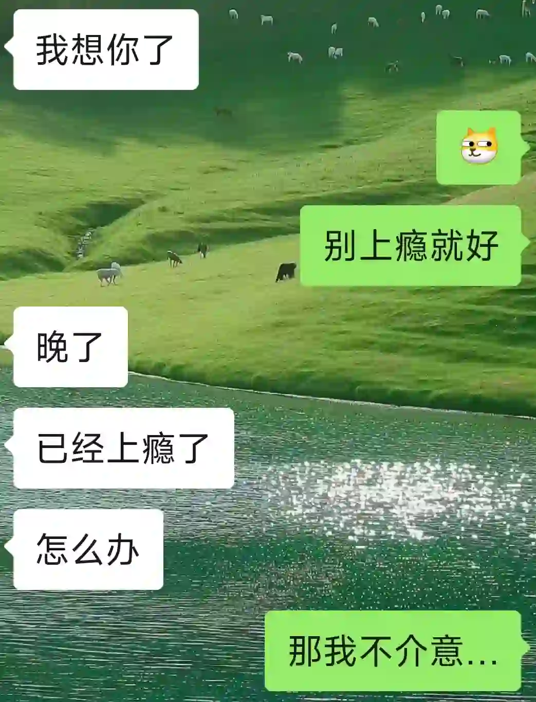 会说话的女生真的很有魅力‼️