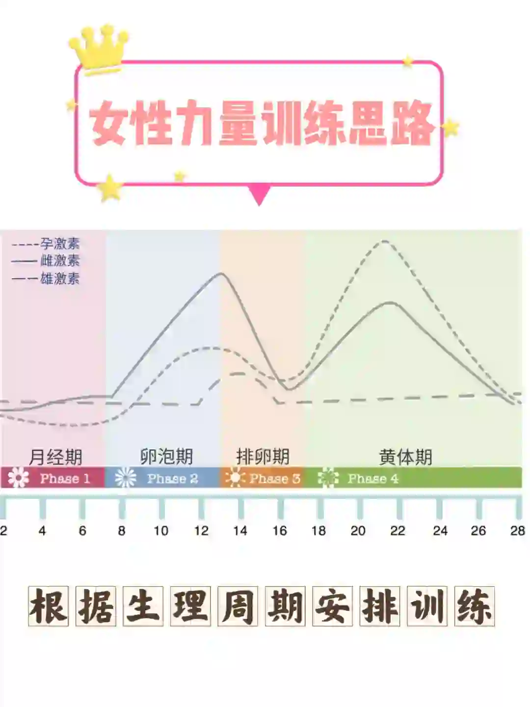 健身先健脑｜适合女生的力量训练思路