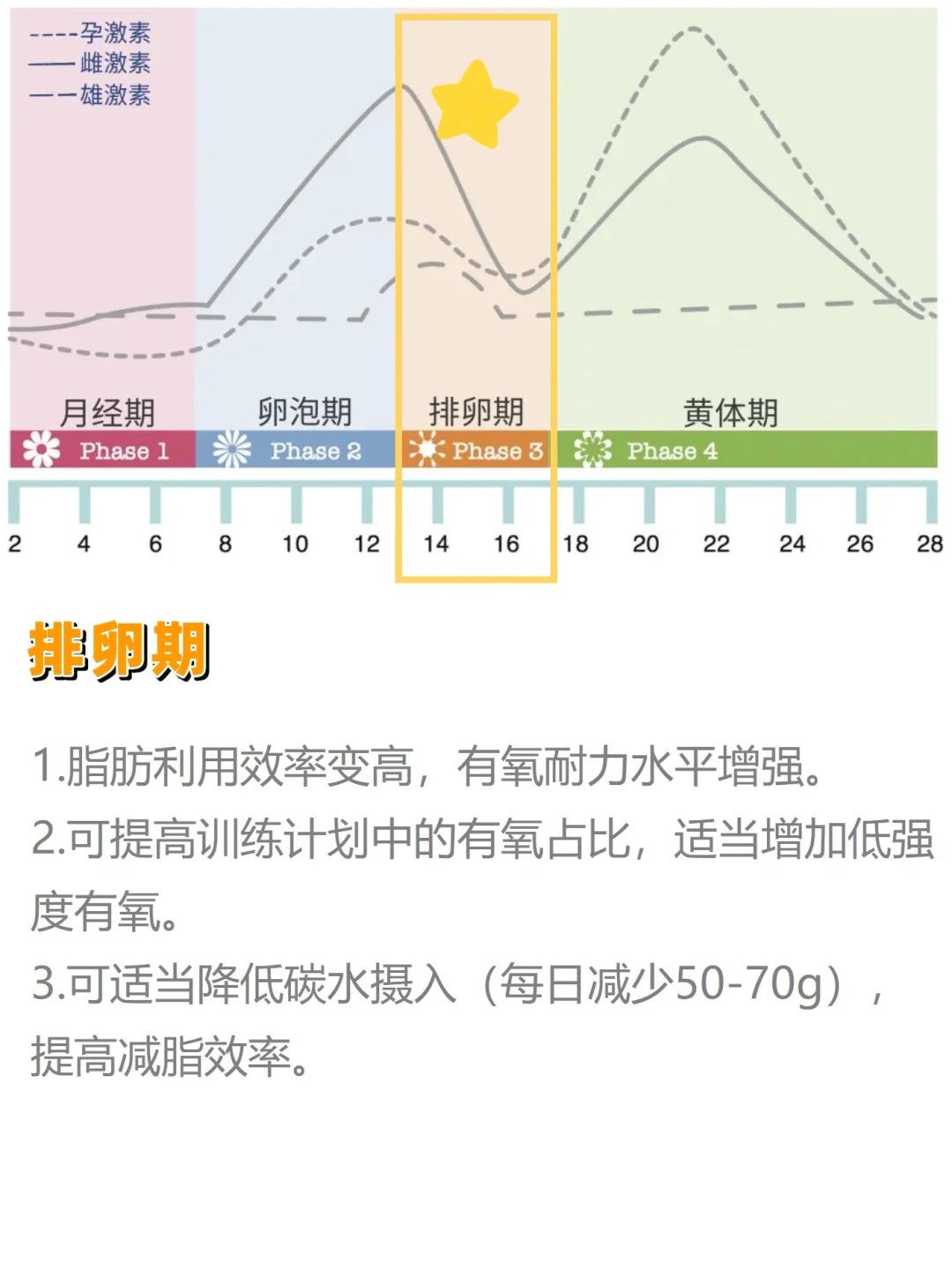 健身先健脑｜适合女生的力量训练思路