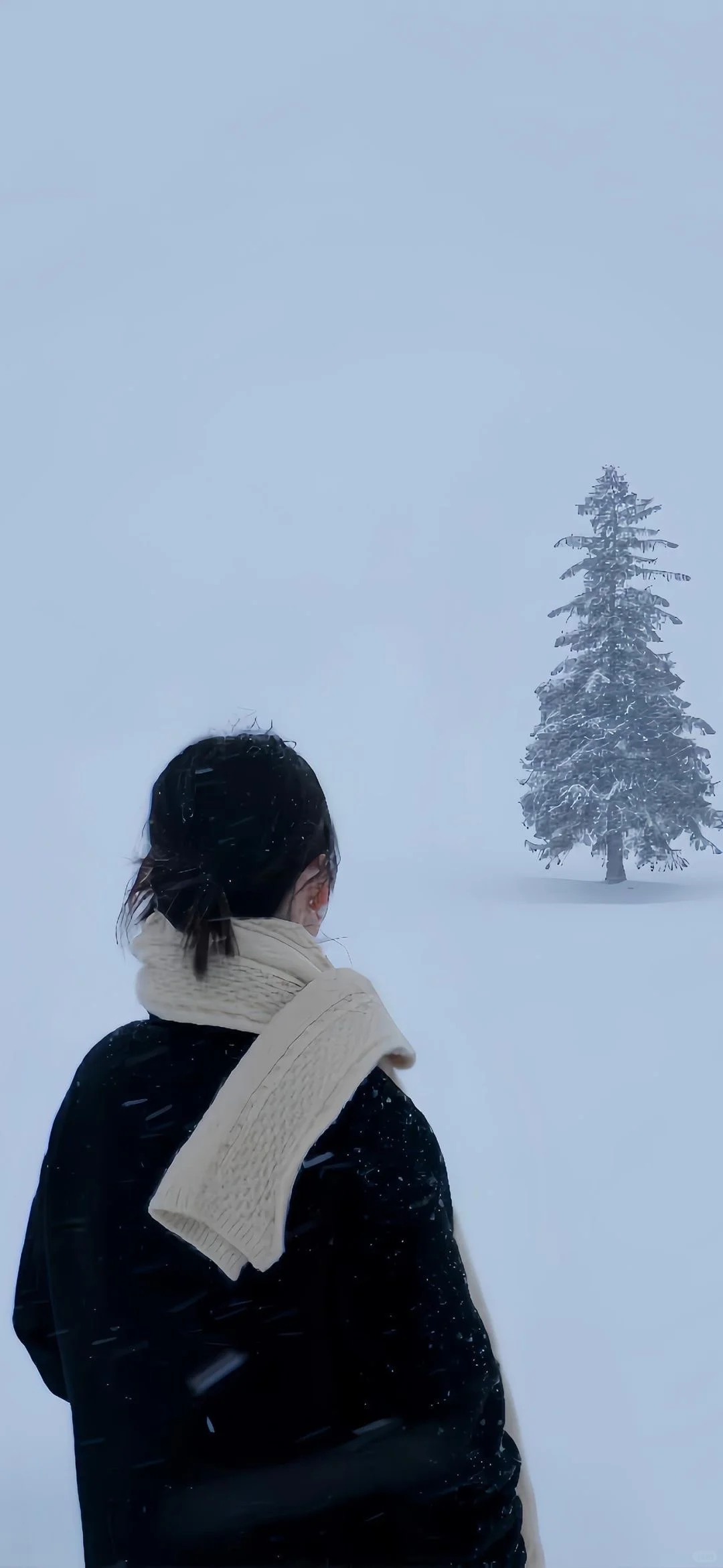 今日份雪景壁纸～