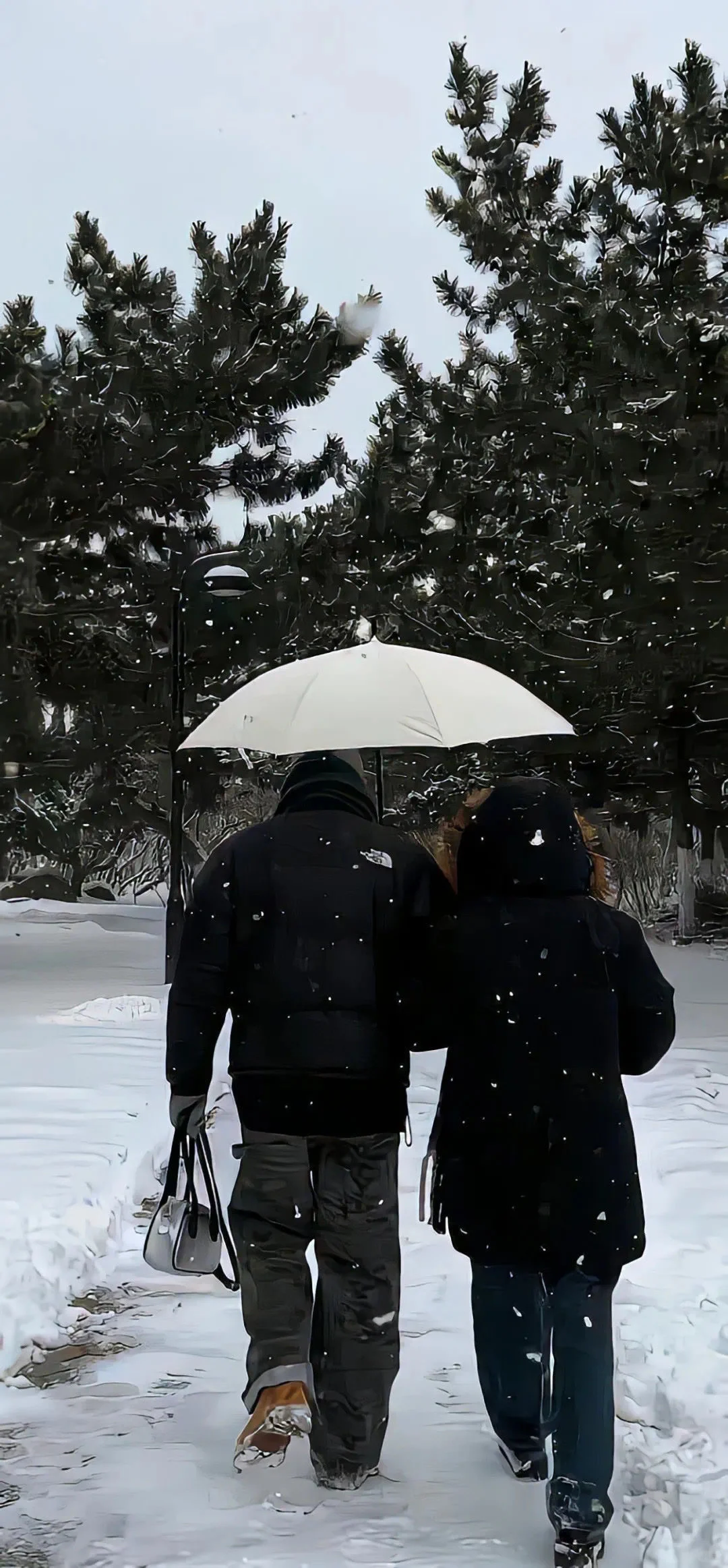 今日份雪景壁纸～