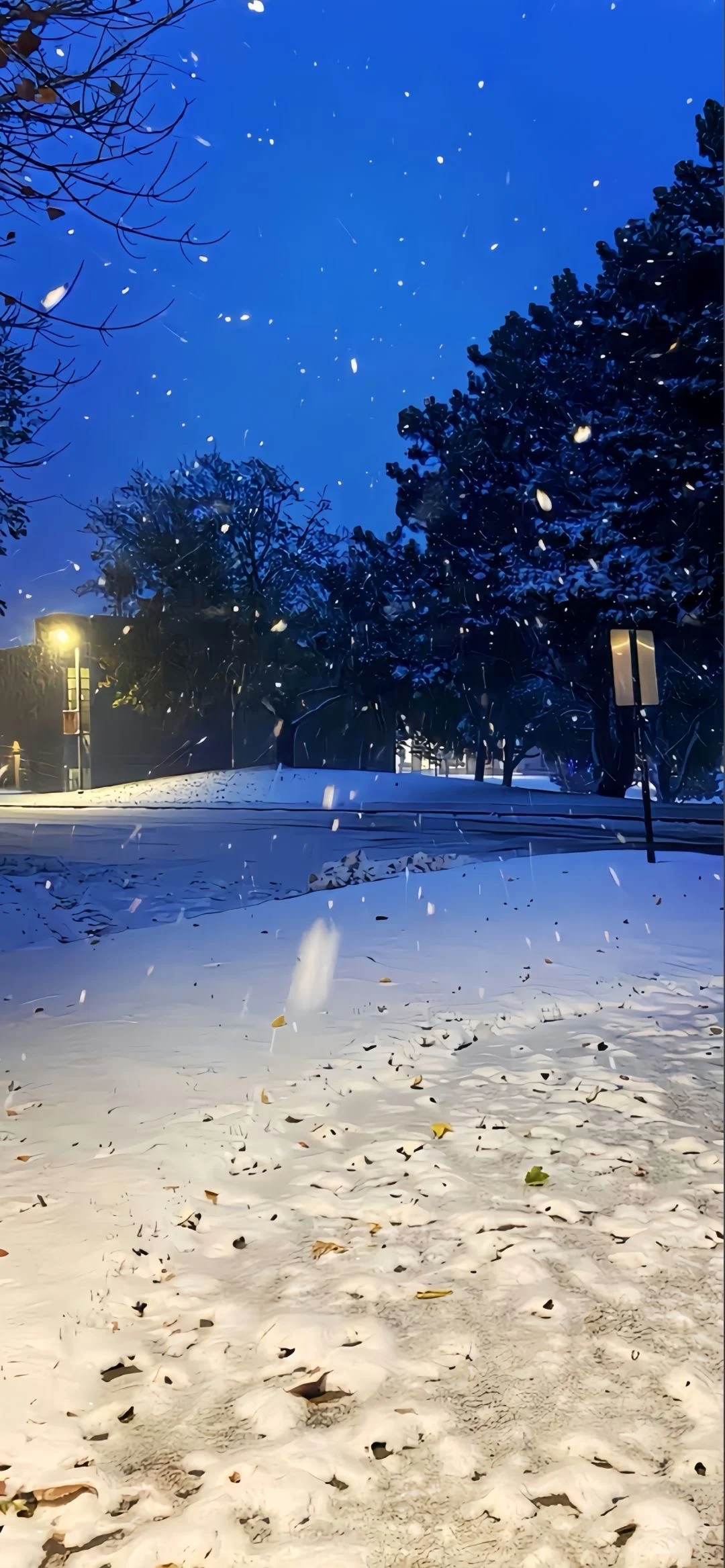 今日份雪景壁纸～