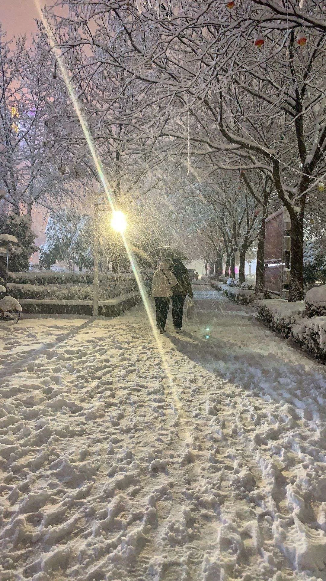 今日份雪景壁纸～