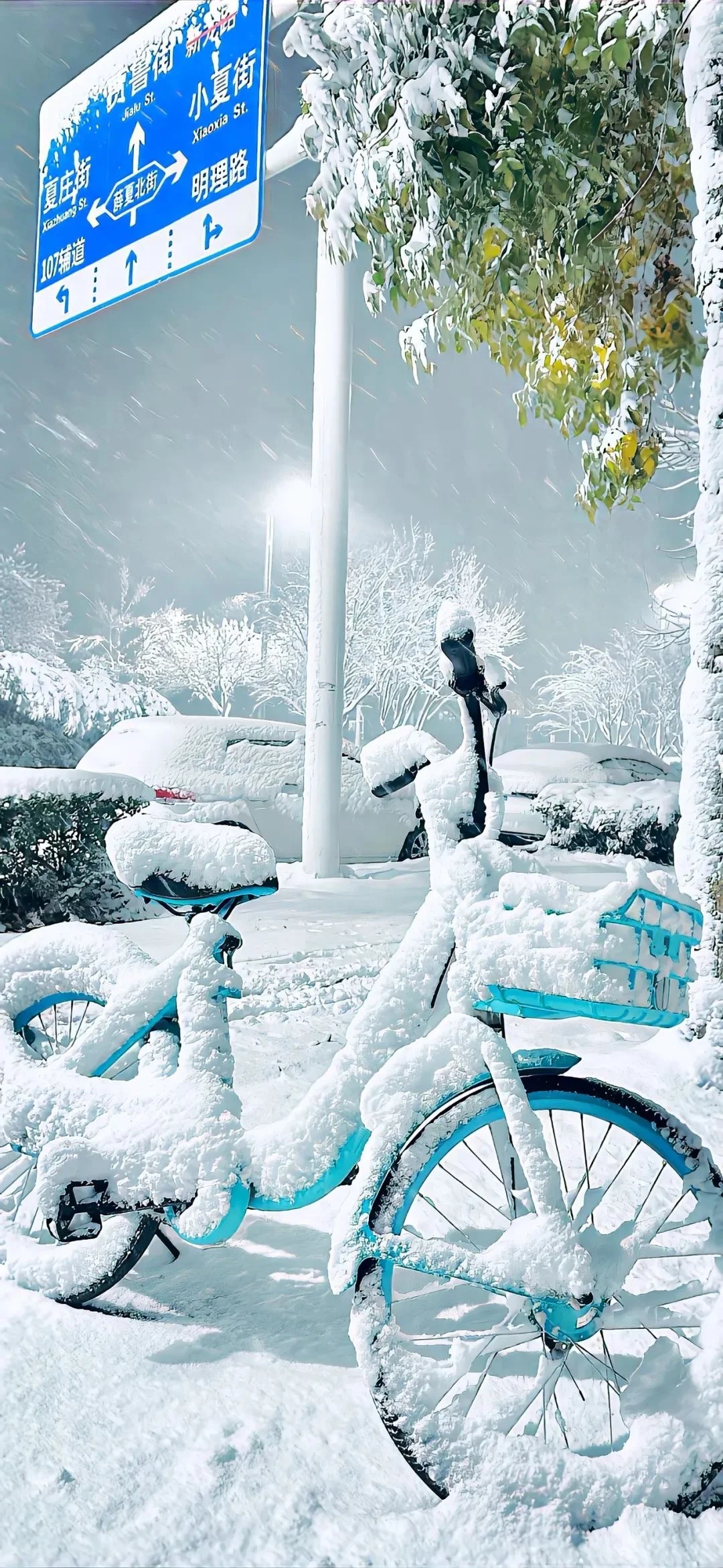 今日份雪景壁纸～