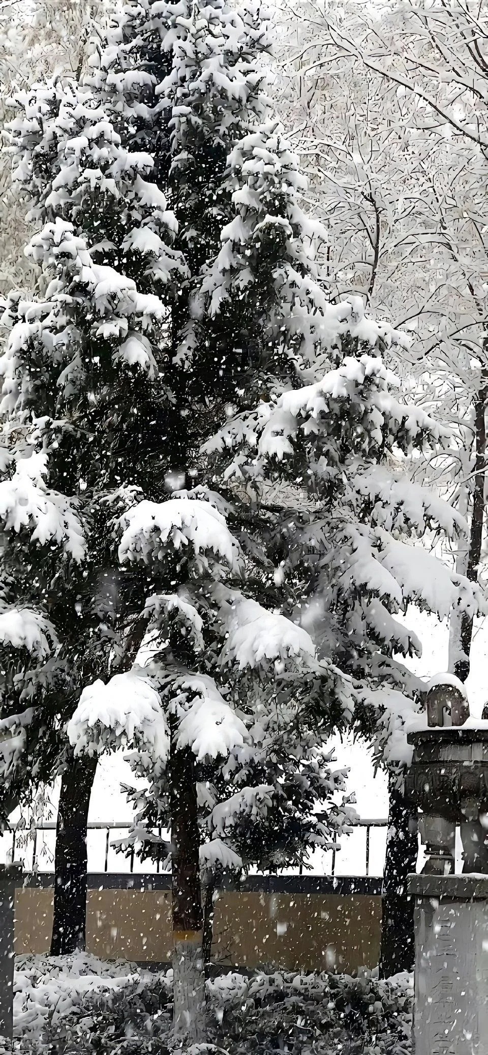 今日份雪景壁纸～