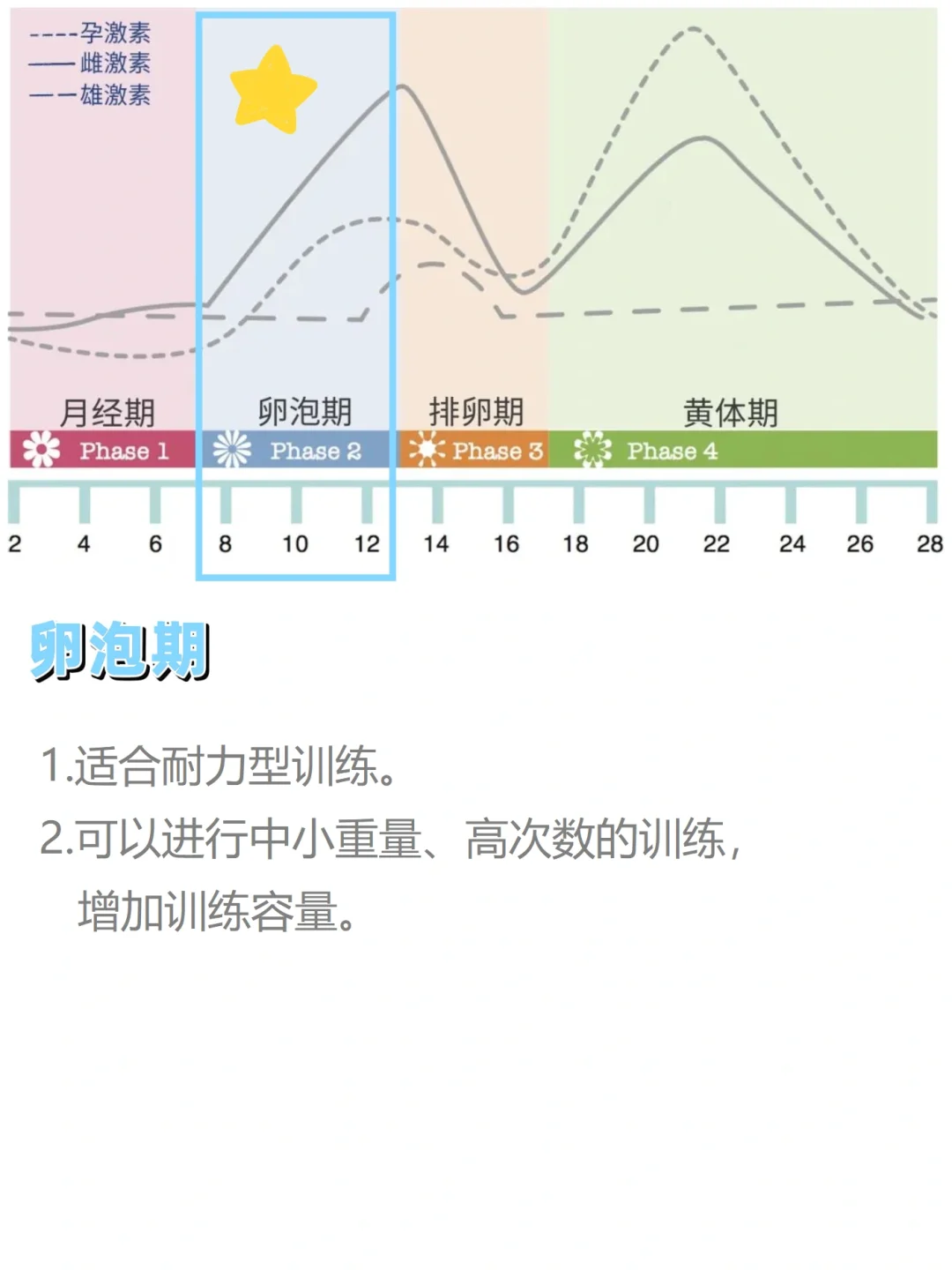 健身先健脑｜适合女生的力量训练思路