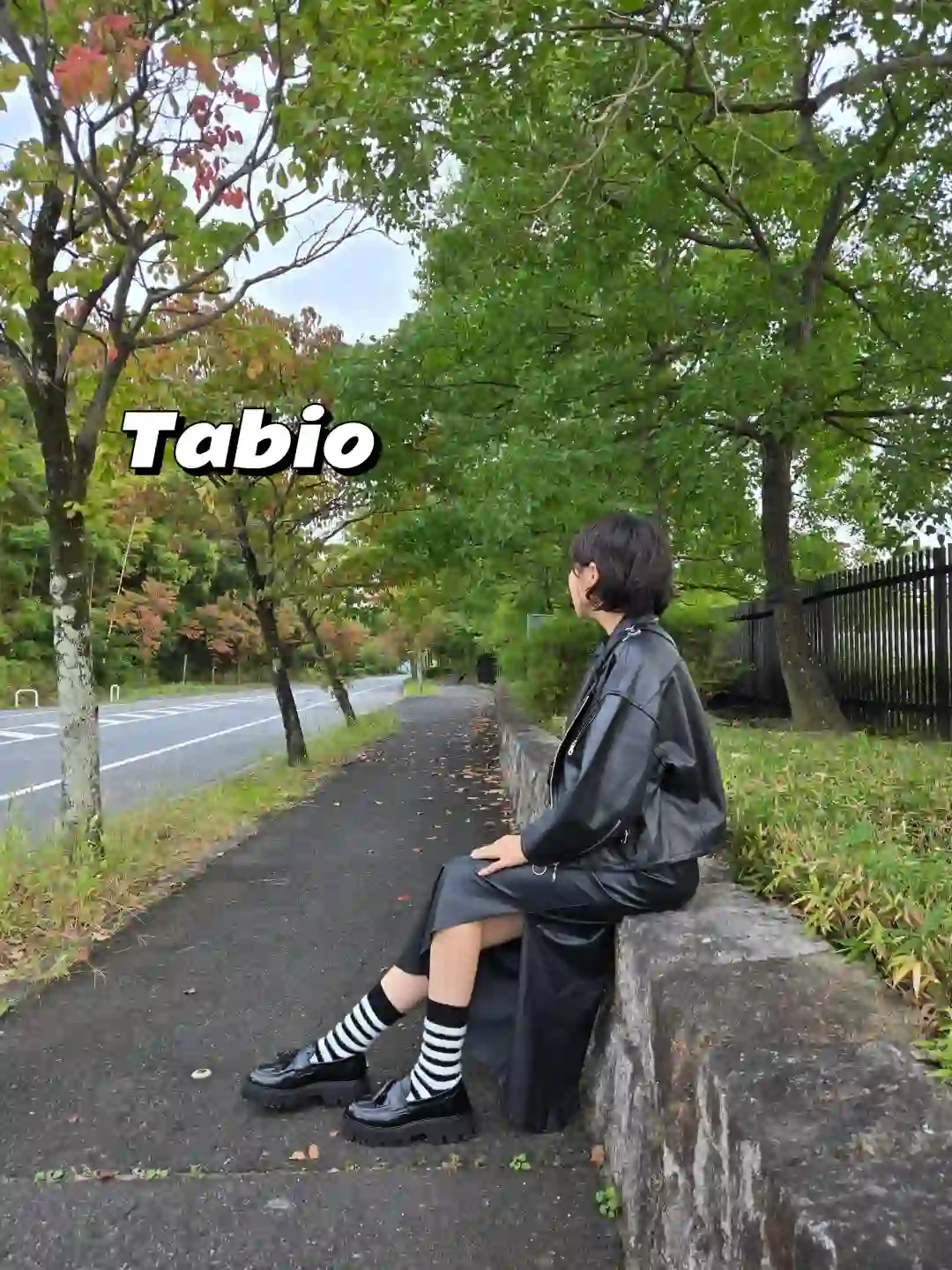 Tabio/毛茸茸横条纹袜美到next level 了