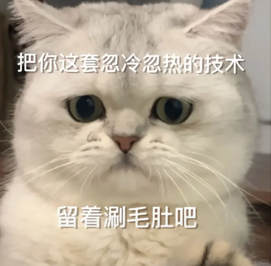 猫猫表情包一堆