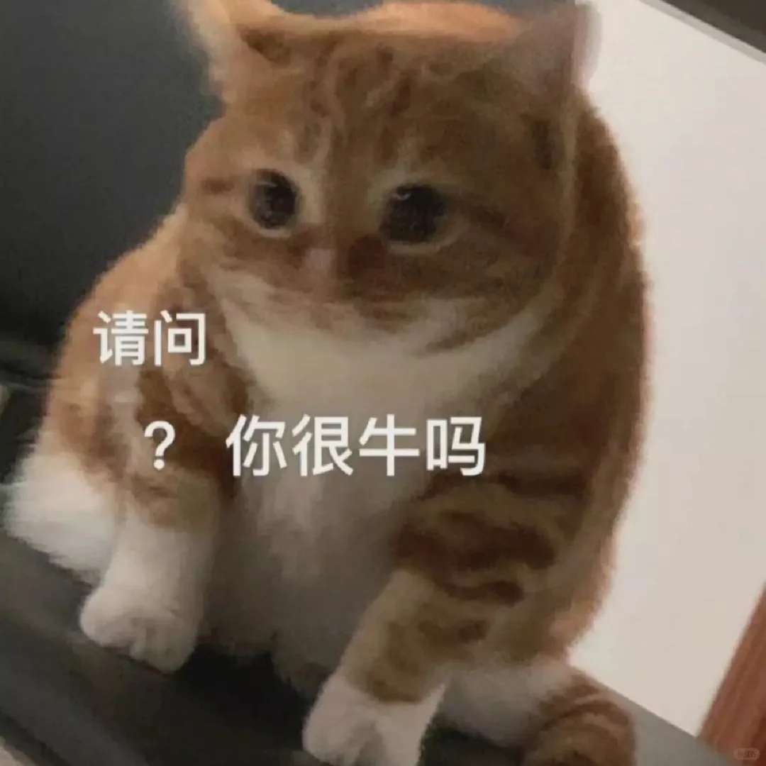 猫猫表情包一堆