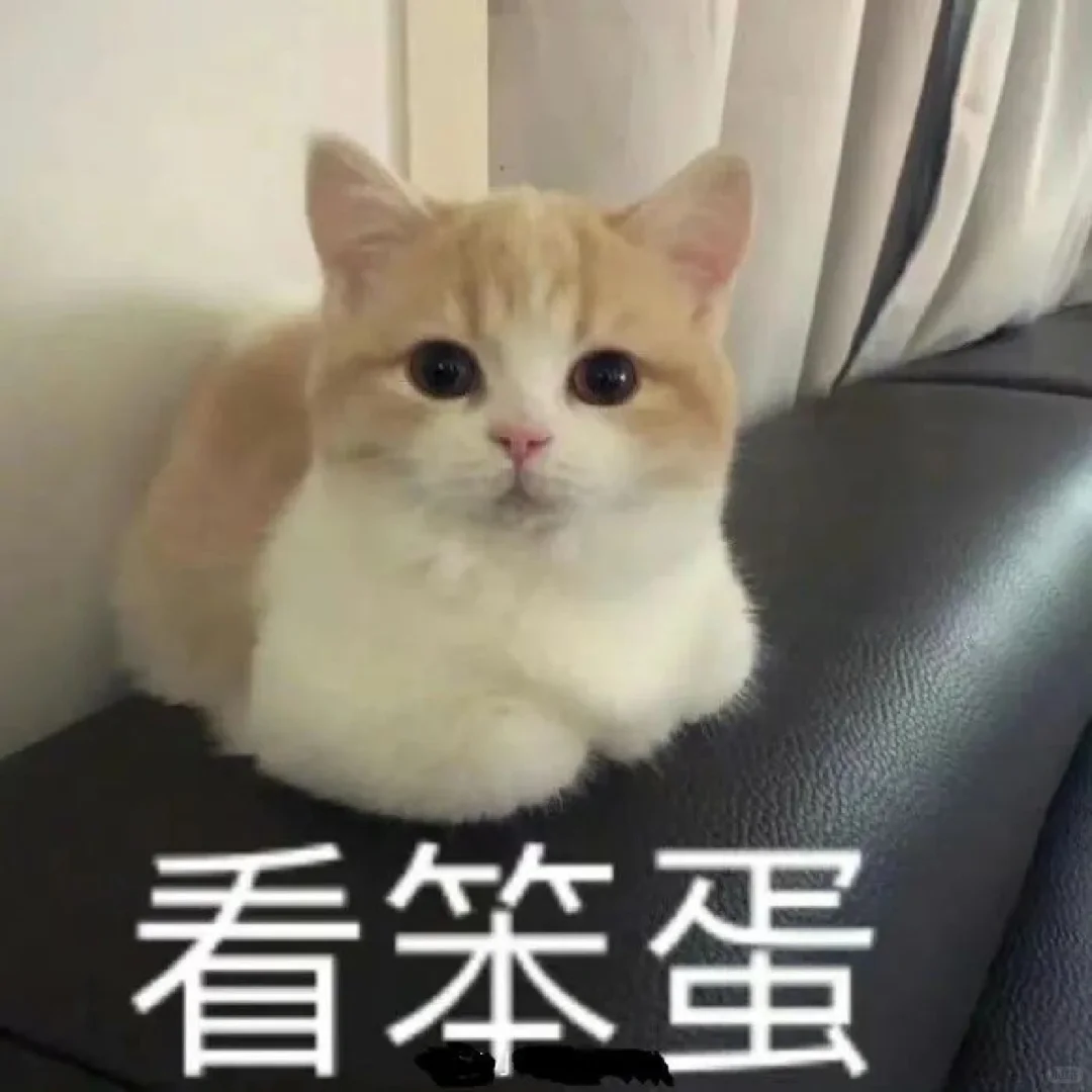 猫猫表情包一堆