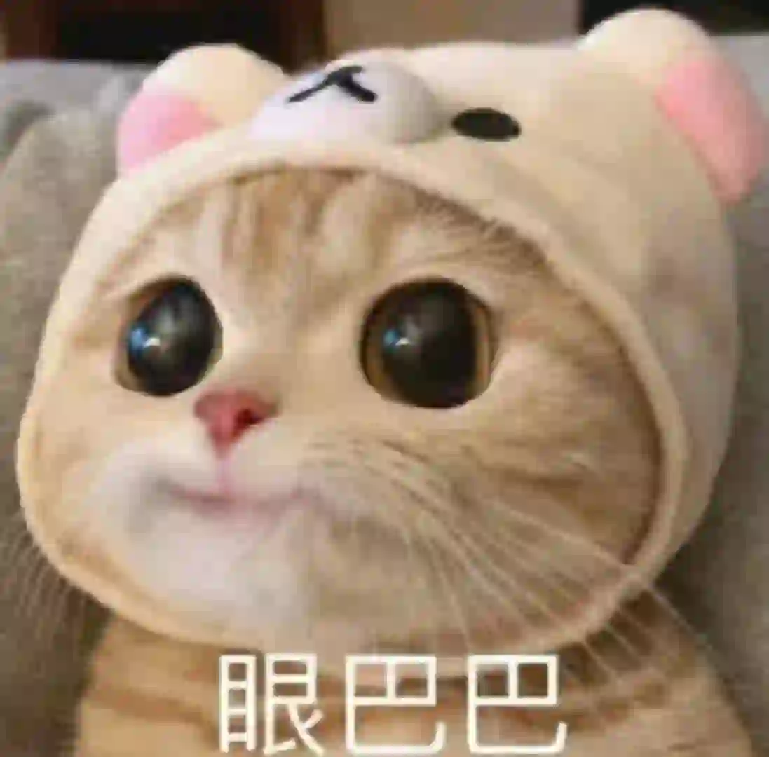 猫猫表情包一堆