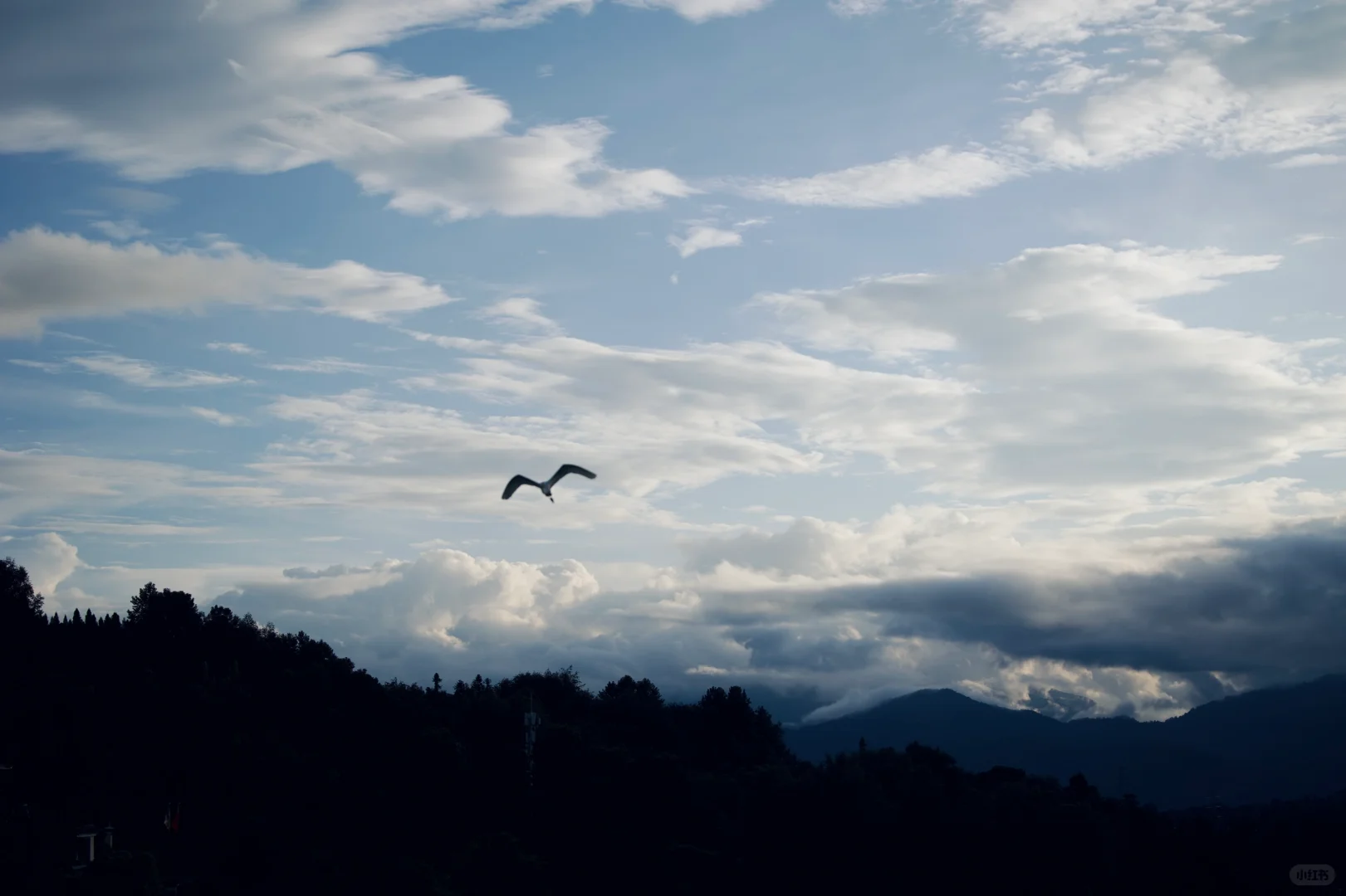 山不见我  我自去见山