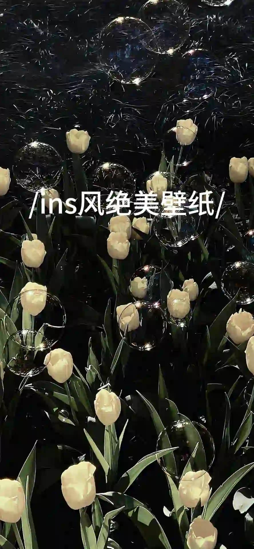 ins风绝美壁纸‼️