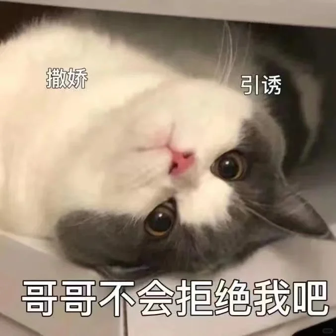 谁能拒绝小猫咪呢?小情侣必备表情包