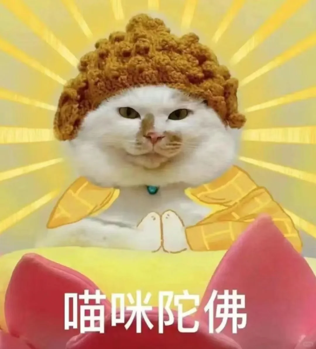 有趣的猫猫表情包，你的快乐猫主导?