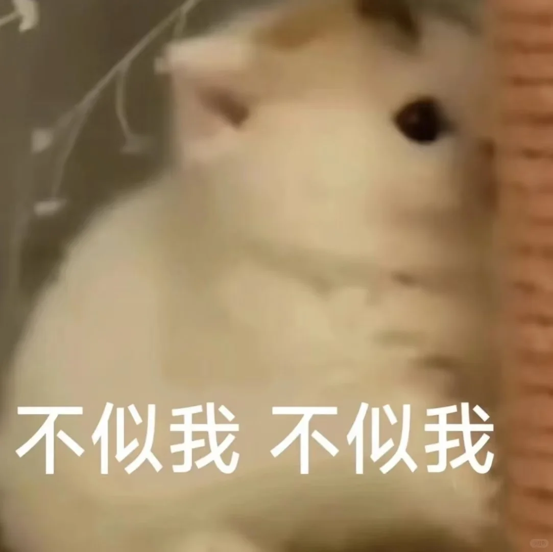 有趣的猫猫表情包，你的快乐猫主导?