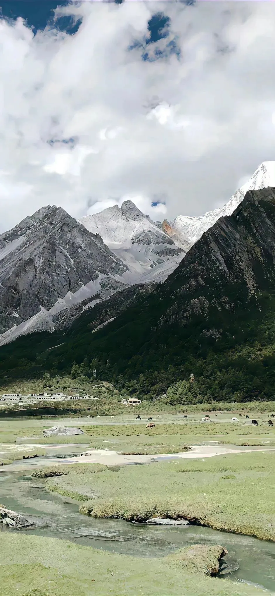 自由感小众唯美风景壁纸分享#风景壁纸