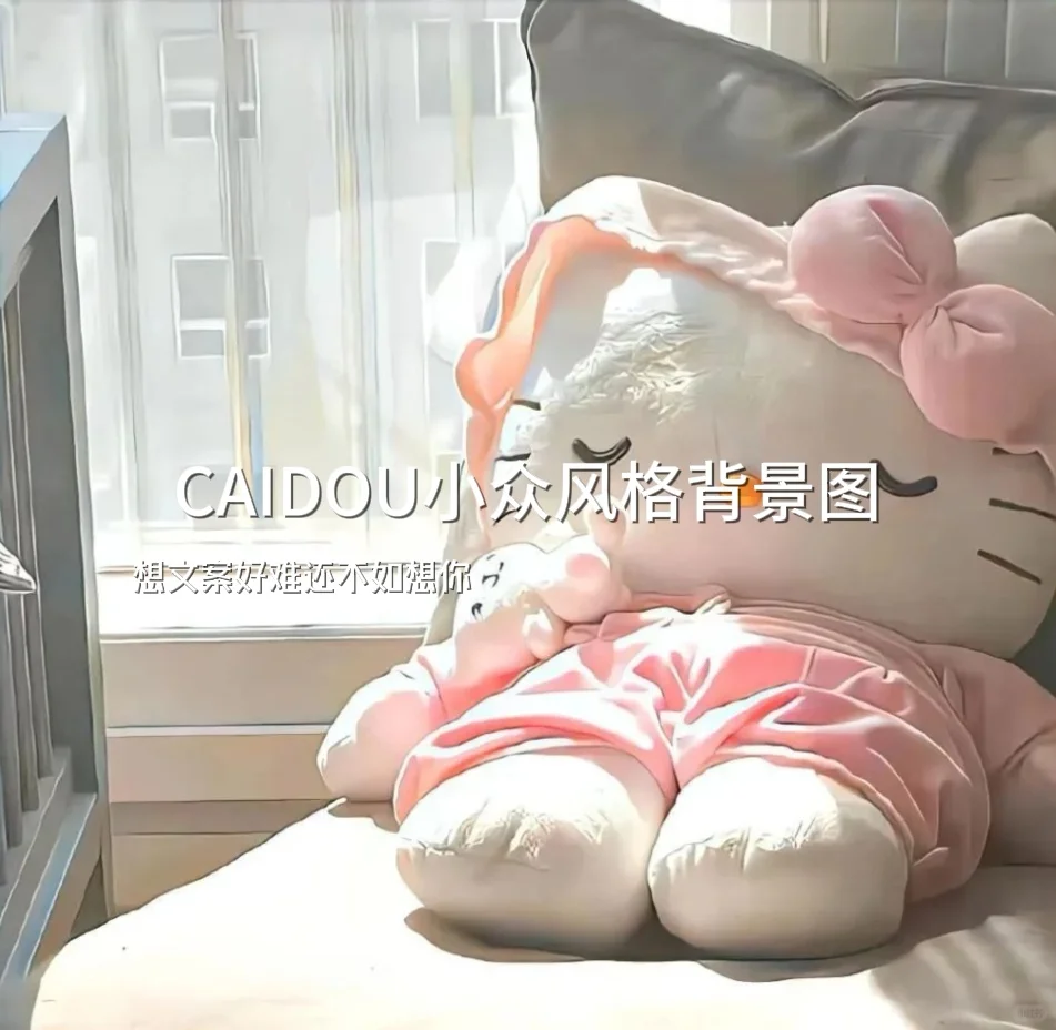 CAIDOU小众风格背景图